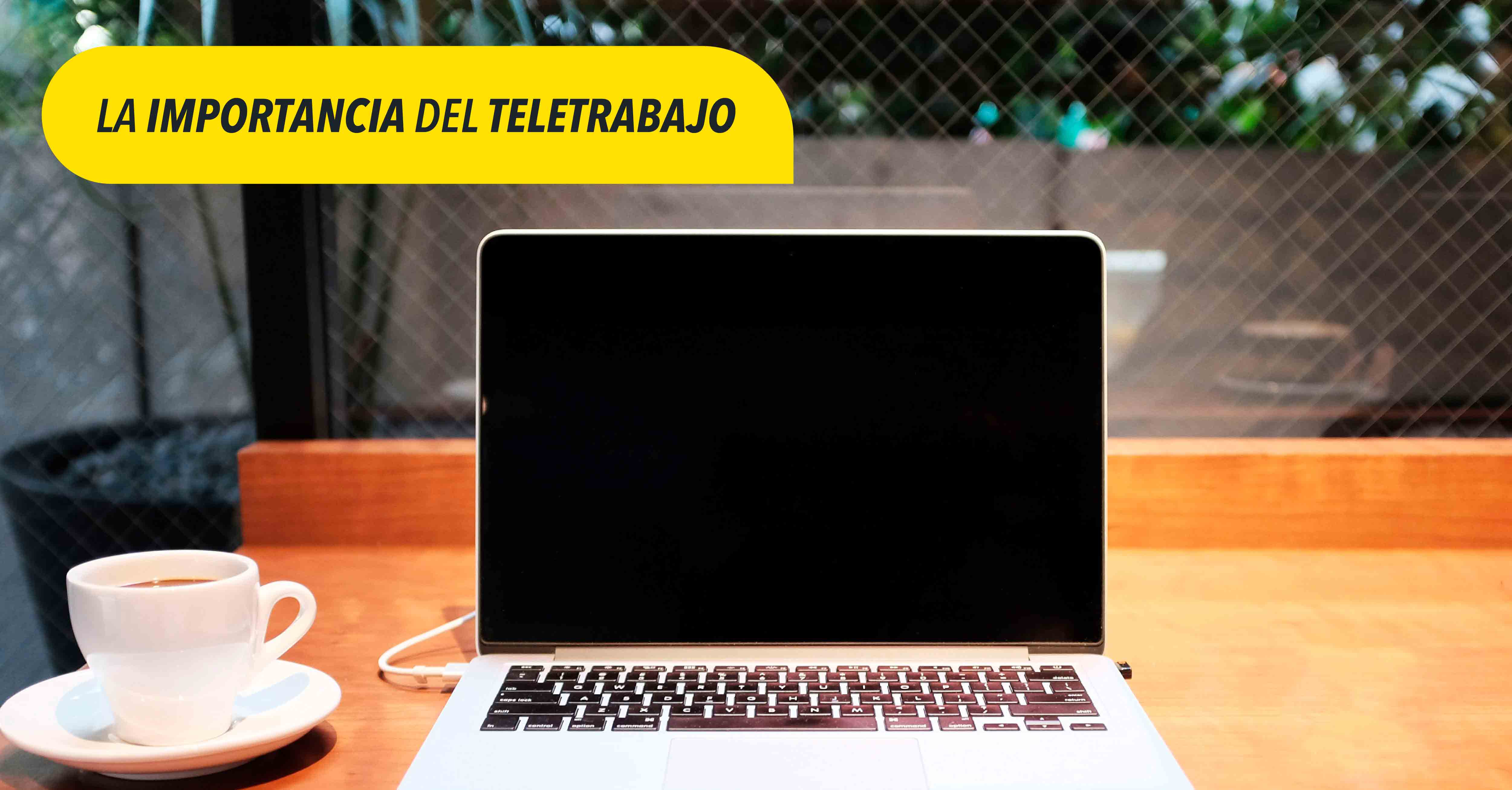 la importancia del teletrabajo